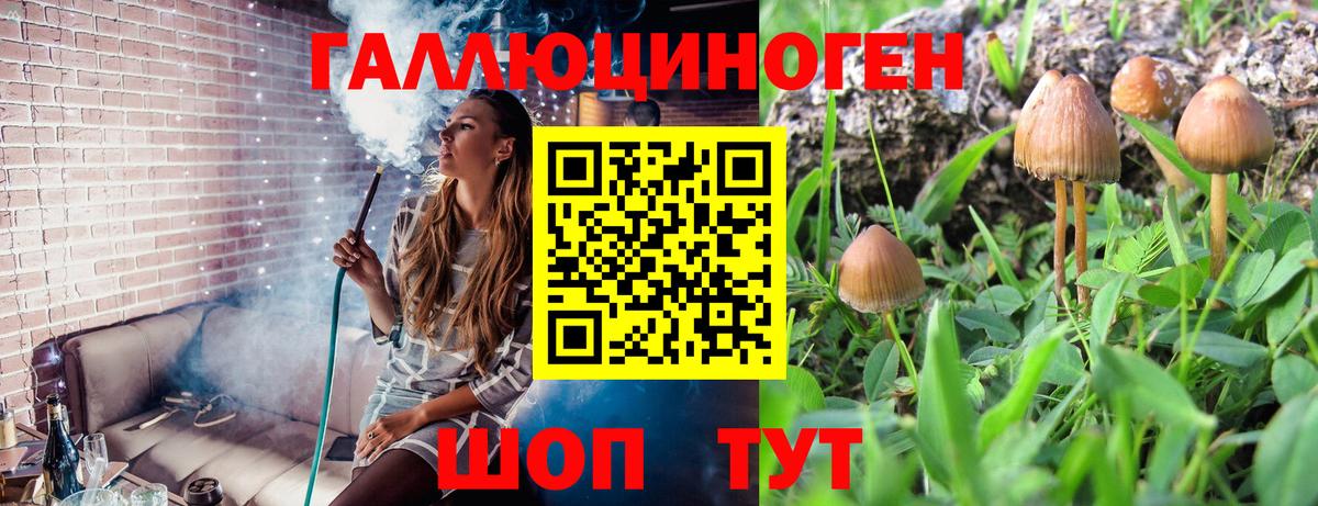 Партизанск  Псилоцибиновые грибы GOLDEN TEACHER  Галлюциногенные грибы мухоморы  Вход с VPN 