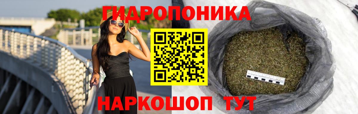 Марихуана сатива  Вход с VPN  Канабис марихуана  МАРИХУАНА планчик  Партизанск 